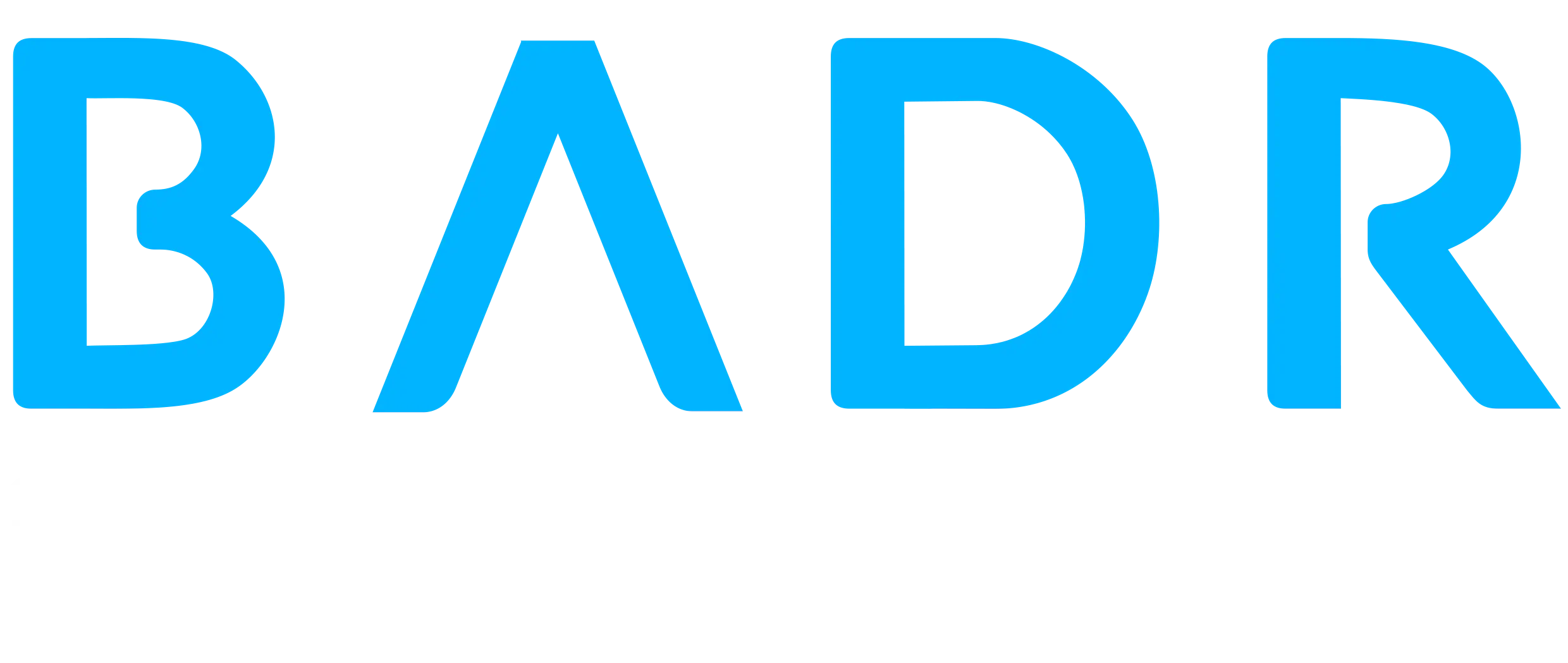 BADR Interactive
